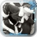 Creazy New Year Photo Gallery