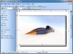 ZebraDesigner Pro