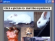 ExPharm for Windows
