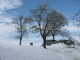 Winter Screen Saver