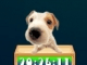 Cute Puppy Clock