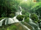 Green Waterfall Screensaver