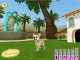 Hollywood Pets