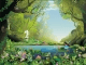 Fairy Forest Screen Saver