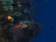 3D Aquatic Life Screensaver
