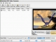 dvdXsoft PSP Video Converter