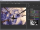 Ozone for Adobe Photoshop