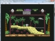 Treasure Island Dizzy