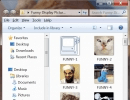 Funny Pictures Folder