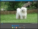 FLVPlayer4Free