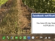 Facebook Notifications