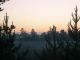 Magic of Morning Screensaver