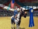 Let's Ride!: Silver Buckle Stables