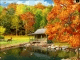 3D Falling Leaves