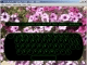 Catchysoft Typing Tutor