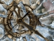 Ice Clock 3D Screensaver