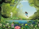 Fairy Forest