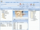 Flash Decompiler