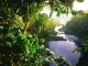 Silent Lagoon