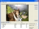 PSD 3D Converter