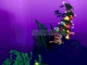 X-mas Fish 3D