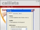 Callista Support Calling Card