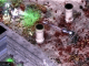 Alien Shooter 2 - Conscription