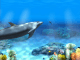 Living 3D Dolphins Full Screen Saver