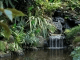 Living Waterfalls Screen Saver