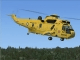 Virtavia Sea King