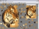 Jigsaw Mania