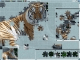 Puzzle Mania: Chronicles of the Unicorn