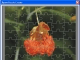 Jigsaw Puzzle Creator for CorelDRAW X5