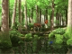 Spring Butterflies 3D Screensaver