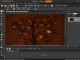 PaintShop Photo Pro