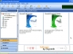Chrysanth Download Manager
