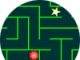 Maze