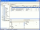 ASP Report Maker