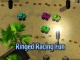 Ringed Racing Fun