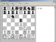 ChessCat