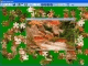 Astra Jigsaw India