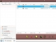 AVCWare iPod Magic Platinum