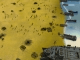Sudden Strike Normandy