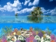 Coral Island 3D Screensaver