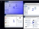 Lion Skin Pack x64