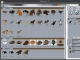 PzDB DAZ Studio 4 Patch