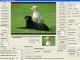 VISCOM TIFF Viewer ActiveX SDK