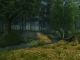Summer Forest 3D Screensaver and Animated Wallpaper