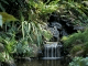 Living Waterfalls Wallpaper #1