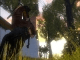 Mount&Blade Warband Suvarnabhumi Mahayuth